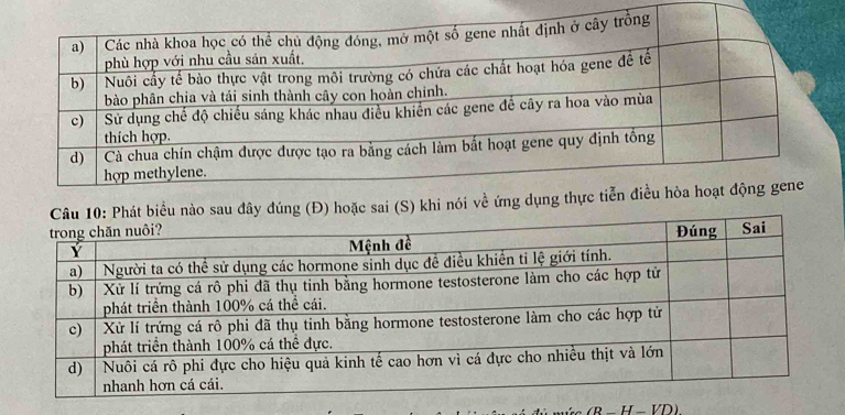 ây đúng (Đ) hoặc sai (S) khi nói về 
B - H -VD).