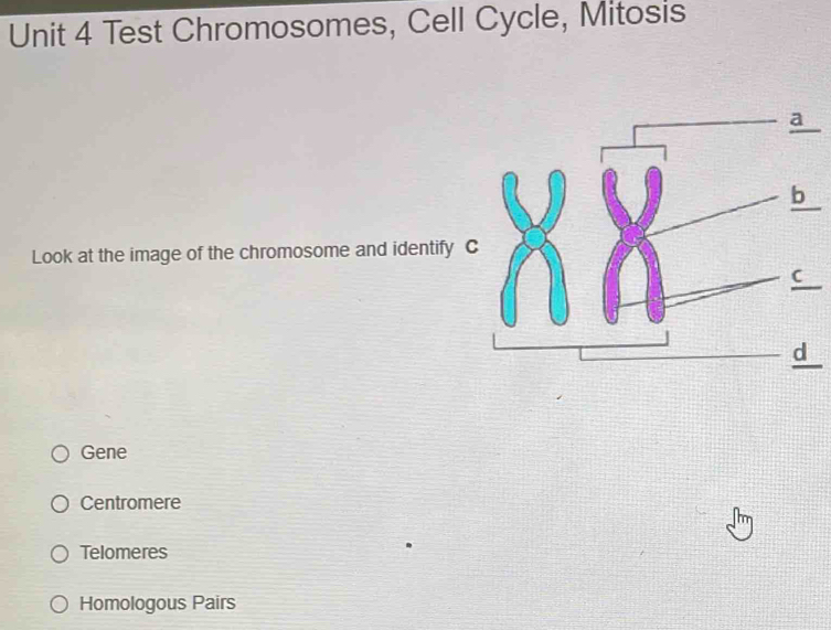 Test Chromosomes, Cell Cycle, Mitosis
Look at the image of the chromosome and identify
Gene
Centromere
Telomeres
Homologous Pairs