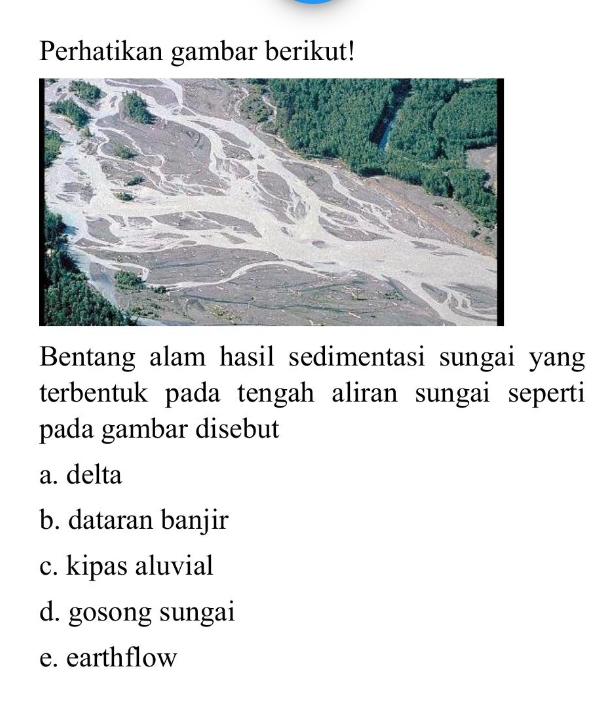 Perhatikan gambar berikut!
Bentang alam hasil sedimentasi sungai yang
terbentuk pada tengah aliran sungai seperti
pada gambar disebut
a. delta
b. dataran banjir
c. kipas aluvial
d. gosong sungai
e. earthflow