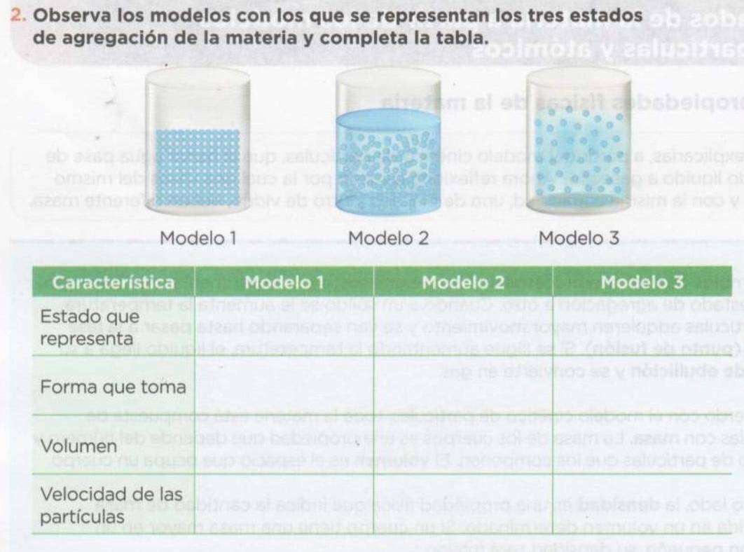 Observa los modelos con los que se representan los tres estados 
de agregación de la materia y completa la tabla. 
Modelo 1 Modelo 2 Modelo 3