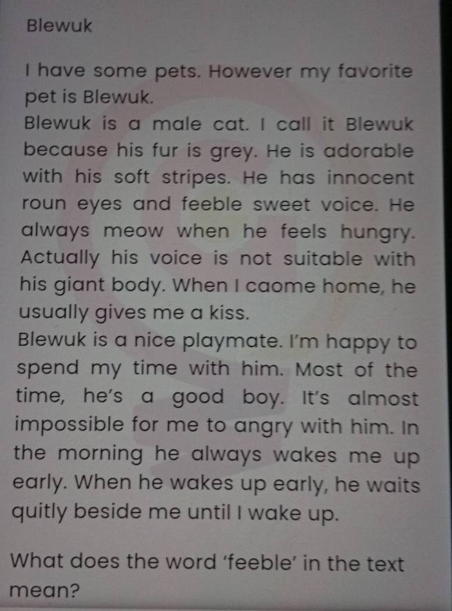 Blewuk 
I have some pets. However my favorite 
pet is Blewuk. 
Blewuk is a male cat. I call it Blewuk 
because his fur is grey. He is adorable 
with his soft stripes. He has innocent 
roun eyes and feeble sweet voice. He 
always meow when he feels hungry. 
Actually his voice is not suitable with 
his giant body. When I caome home, he 
usually gives me a kiss. 
Blewuk is a nice playmate. I'm happy to 
spend my time with him. Most of the 
time, he's a good boy. It's almost 
impossible for me to angry with him. In 
the morning he always wakes me up . 
early. When he wakes up early, he waits 
quitly beside me until I wake up. 
What does the word 'feeble’ in the text 
mean?