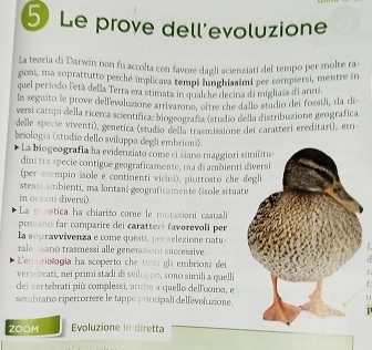 Le prove dell'evoluzione 
La teoria di Darwin non fu accolta con favore dagli scienziati del tempo per molte ra 
gioni, ma soprattutto perché implicava tempi lunghissimi per compiersi, mentre in 
quel periodo l'età della Terra era stimata in qualche decina di migliaia di anni. 
In seguito le prove dell'evoluzione arrivarono, ottre che dallo studio dei fossili, da di 
versi campi della ricerca scientifica: biogeografía (studio della distribuzione geografica 
delle specie viventi), genetica (studio della trasmissione del caratteri ereditari), err- 
beiologia (studio dello sviluppo degli embrioni). 
La biogeografía ha evidenziato come ci siano maggiori 
dini tra specie contigue geograficamente, ma di ambienti 
(per esempio isole e continenti vicini), piuttosto che 
stessi ambienti, ma lontani geograficamente (isole situat 
in oceani diversi). 
La oonetica ha chiarito come le mutazioni casuali 
possano far comparire dei caratteri favorevoli per 
la sopravvivenza e come questí, per selezione natu 
rale mano trasmessi alle generasion successive. 
L'en oriología ha scoperto che tutti gl embrioni del 
vertebrati, nei primi stadi di sviluppe, sono simili a quelli 
del vertebrati più complessi, anche a quello delfuomo, e 
sembrano ripercorrere le tappe principali dellevoluzione. 
. 
ZOOM Evoluzione in diretta