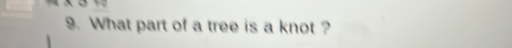 What part of a tree is a knot ?