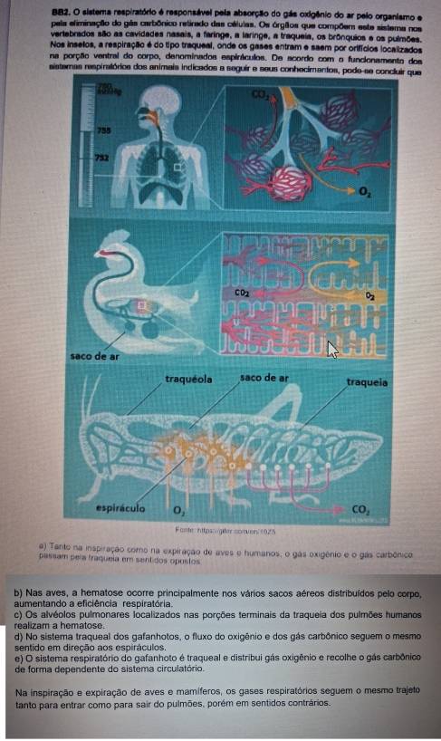 BB2. O sistema respiratório é responsável pela absorção do gás oxigênio do ar pelo organismo e
pela eliminação do gês carbônico retirado das cátulas. Os órgãos que compõem este sistema nos
vertebrados são as cavidades nasais, a faringe, a laringe, a traqueia, os brônquios e os pulmões.
Nos inselos, a respiração é do tipo traqueal, onde os gases entram e saem por orifícios localizados
na porção ventral do corpo, denominados espiráculos. De acordo com o funcionamento dos
sistemas respiratórios dos animaia indicados a seguir e seus conhecimantos, pode-se concluir que
e) Tanto na inspiração como na expiração de aves e humanos, o gás exigênio e o gás carbênico
passam pela traqueia em sentidos opostos
b) Nas aves, a hematose ocorre principalmente nos vários sacos aéreos distribuídos pelo corpo,
aumentando a eficiência respiratória.
c) Os alvéolos pulmonares localizados nas porções terminais da traqueia dos pulmões humanos
realizam a hematose.
d) No sistema traqueal dos gafanhotos, o fluxo do oxigênio e dos gás carbônico seguem o mesmo
sentido em direção aos espiráculos.
e) O sistema respiratório do gafanhoto é traqueal e distribui gás oxigênio e recolhe o gás carbônico
de forma dependente do sistema circulatório.
Na inspiração e expiração de aves e mamíferos, os gases respiratórios seguem o mesmo trajeto
tanto para entrar como para sair do pulmões, porém em sentidos contrários.