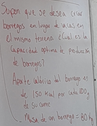 Spon gve se desea crar 
borregos on lugarde ucasen 
elmismo feeno. ilvales la 
Capacidad optima de poduch 
de boreygs? 
Aeate calbrico dl boreago u 
do 150 Kcal por (ata1bog 
do socome 
Masn do on borrego =80kg