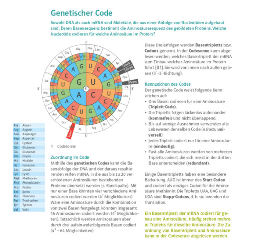 Gelöst:Genetischer Code Sowohl DNA als auch mRNA sind Moleküle, die aus ...