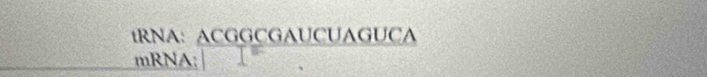 tRNA: : ACGGCGAUCUAGUCA 
mRNA;