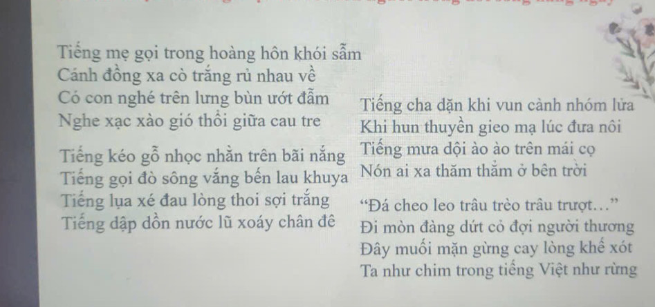 Tiếng mẹ gọi trong hoàng hôn khói sẫm
Cánh đồng xa cò trắng rủ nhau về
Có con nghé trên lưng bùn ướt đẫm Tiếng cha dặn khi vun cành nhóm lửa
Nghe xạc xào gió thổi giữa cau tre Khi hun thuyền gieo mạ lúc đưa nôi
Tiếng kéo gỗ nhọc nhằn trên bãi nắng Tiếng mưa dội ào ào trên mái cọ
Tiếng gọi đò sông vắng bến lau khuya Nón ai xa thăm thăm ở bên trời
Tiếng lụa xé đau lòng thoi sợi trắng “Đá cheo leo trâu trèo trâu trượt…”
Tiếng dập dồn nước lũ xoáy chân đê Đi mòn đàng dứt cỏ đợi người thương
Đây muối mặn gừng cay lòng khế xót
Ta như chim trong tiếng Việt như rừng