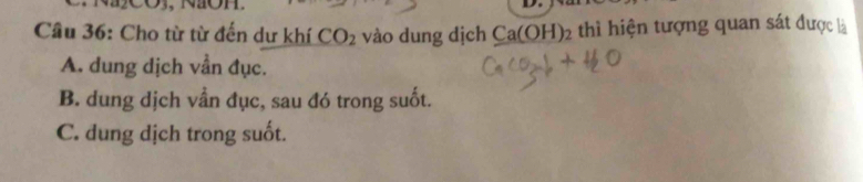 Cho từ từ đến dư khí CO_2 vào dung dịch Ca(OH 1h : th hiện tượng quan sát được là
A. dung dịch vẫn đục.
B. dung dịch vần đục, sau đó trong suốt.
C. dung dịch trong suốt.