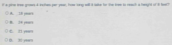If a pine tree grows 4 inches per year, how long will it take for the tree to reach a height of 8 feet?
A. 18 years
B. 24 years
C. 21 years
D. 30 years