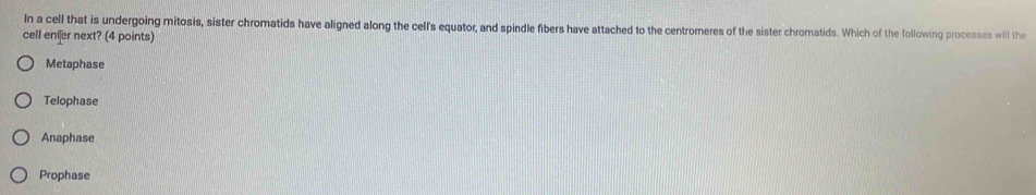 In a cell that is undergoing mitosis, sister chromatids have aligned along the cell's equator, and spindle fibers have attached to the centromeres of the sister chromatids. Which of the following processes will the
cell eniæer next? (4 points)
Metaphase
Telophase
Anaphase
Prophase