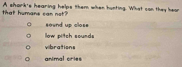 A shark's hearing helps them when hunting. What can they hear
that humans can not?
sound up close
low pitch sounds
vibrations
animal cries