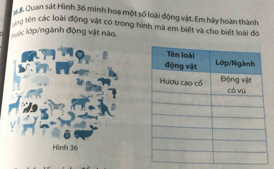 Quan sát Hình 36 minh hoạ một số loài động vật. Em hãy hoàn thành 
tàng tên các loài động vật có trong hình mà em biết và cho biết loài đó 
huộc lớp/ngành động vật nào.