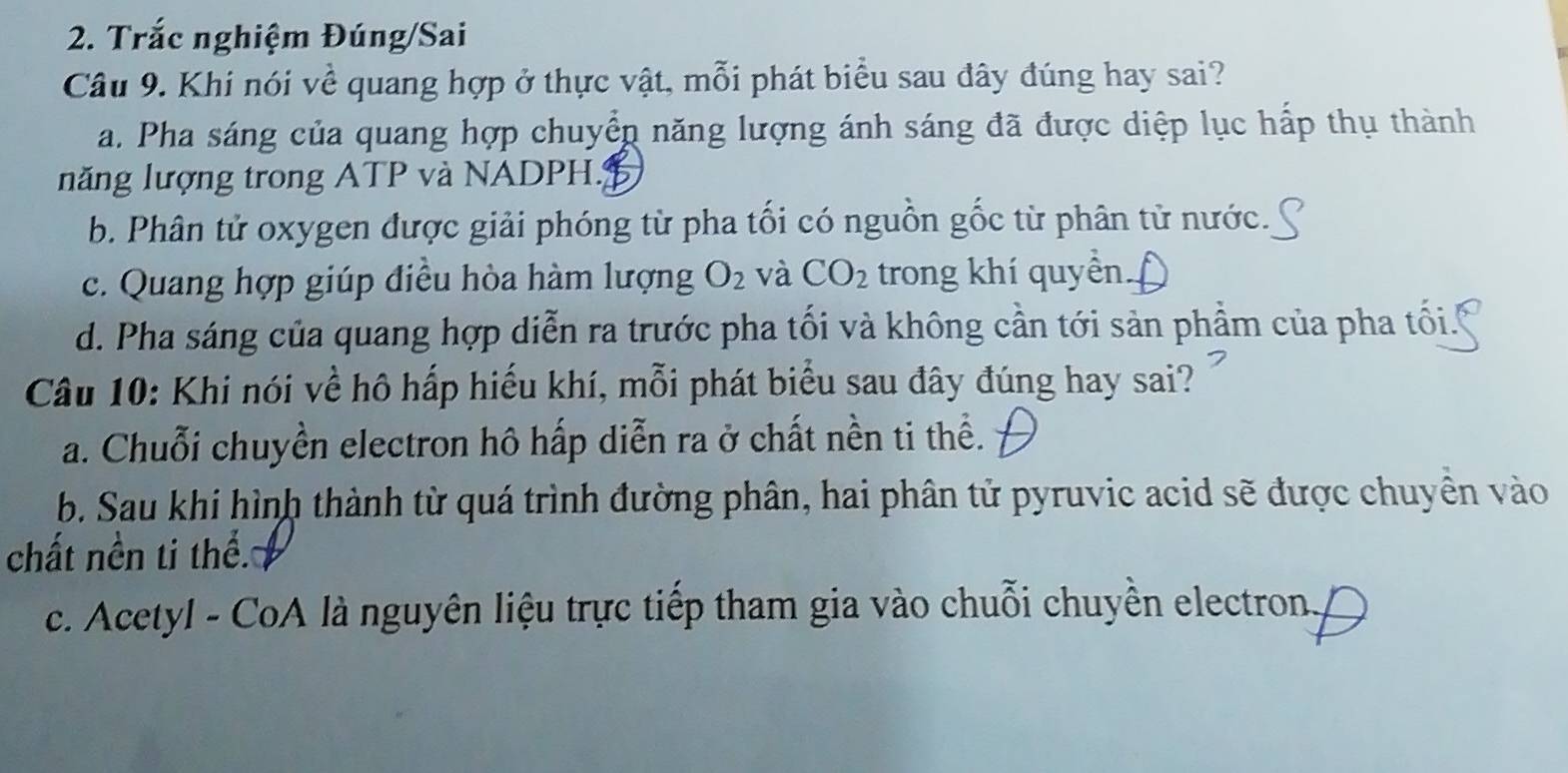 Trắc nghiệm Đúng/Sai
Câu 9. Khi nói về quang hợp ở thực vật, mỗi phát biểu sau đây đúng hay sai?
a. Pha sáng của quang hợp chuyểp năng lượng ánh sáng đã được diệp lục hấp thụ thành
năng lượng trong ATP và NADPH.
b. Phân tử oxygen được giải phóng từ pha tối có nguồn gốc từ phân tử nước.
c. Quang hợp giúp điều hòa hàm lượng O_2 và CO_2 trong khí quyền.
d. Pha sáng của quang hợp diễn ra trước pha tối và không cần tới sản phầm của pha tối.
Câu 10: Khi nói về hô hấp hiếu khí, mỗi phát biểu sau đây đúng hay sai?
a. Chuỗi chuyền electron hô hấp diễn ra ở chất nền ti thể.
b. Sau khi hình thành từ quá trình đường phân, hai phân tử pyruvic acid sẽ được chuyền vào
chất nền ti thể.
c. Acetyl - CoA là nguyên liệu trực tiếp tham gia vào chuỗi chuyền electron.