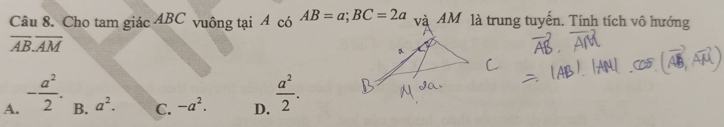 Cho tam giác ABC vuông tại A có AB=a; BC=2a và AM là trung tuyến. Tính tích vô hướng
overline AB.overline AM
A. - a^2/2 .
B. a^2. -a^2. D.
C.
 a^2/2 .