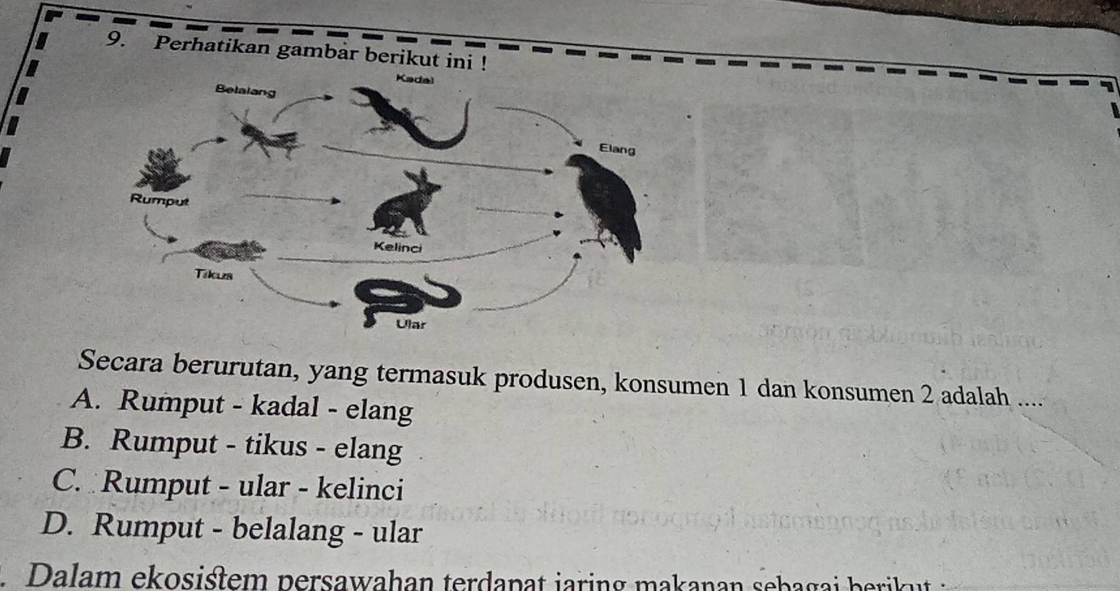 Perhatikan gambar berikut ini !
Secara berurutan, yang termasuk produsen, konsumen 1 dan konsumen 2 adalah ....
A. Rumput - kadal - elang
B. Rumput - tikus - elang
C. Rumput - ular - kelinci
D. Rumput - belalang - ular
. Dalam ekosistem persawahan terdapat jaring makanan sebagai berikut :