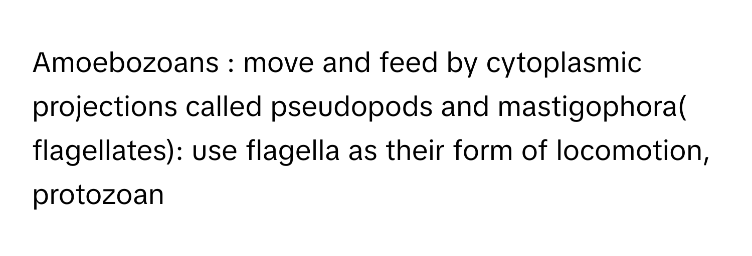 Amoebozoans : move and feed by cytoplasmic projections called pseudopods and mastigophora( flagellates): use flagella as their form of locomotion, protozoan