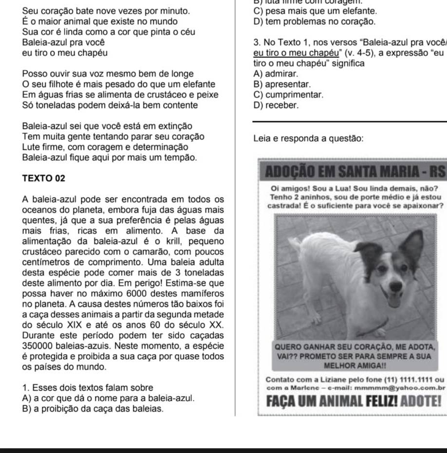 By uta fime com coragem.
Seu coração bate nove vezes por minuto. C) pesa mais que um elefante.
É o maior animal que existe no mundo D) tem problemas no coração.
Sua cor é linda como a cor que pinta o céu
Baleia-azul pra você  3. No Texto 1, nos versos "Baleia-azul pra você.
eu tiro o meu chapéu eu tiro o meu chapéu” (v. 4-5), a expressão “eu
tiro o meu chapéu'' significa
Posso ouvir sua voz mesmo bem de longe A) admirar.
O seu filhote é mais pesado do que um elefante B) apresentar.
Em águas frias se alimenta de crustáceo e peixe C) cumprimentar.
Só toneladas podem deixá-la bem contente D) receber.
Baleia-azul sei que você está em extinção
Tem muita gente tentando parar seu coração  Leia e responda a questão:
Lute firme, com coragem e determinação
Baleia-azul fique aqui por mais um tempão.
TEXTO 02
Adoção EM SAnta Maria - RS
Oi amigos! Sou a Lua! Sou linda demais, não?
A baleia-azul pode ser encontrada em todos os Tenho 2 aninhos, sou de porte médio e já estou
oceanos do planeta, embora fuja das águas mais castrada! É o suficiente para você se apaixonar?
quentes, já que a sua preferência é pelas águas
mais frias, ricas em alimento. A base da
alimentação da baleia-azul é o krill, pequeno
crustáceo parecido com o camarão, com poucos
centímetros de comprimento. Uma baleia adulta
desta espécie pode comer mais de 3 toneladas
deste alimento por dia. Em perigo! Estima-se que
possa haver no máximo 6000 destes mamíferos
no planeta. A causa destes números tão baixos foi
a caça desses animais a partir da segunda metade
do século XIX e até os anos 60 do século XX.
Durante este período podem ter sido caçadas
350000 baleias-azuis. Neste momento, a espécie 
é protegida e proibida a sua caça por quase todos 
os países do mundo. 
Contato com a Liziane pelo fone (11) 1111.1111 ou
1. Esses dois textos falam sobre com a Marlene - e-mail: mmmmm@yahoo.com.br
A) a cor que dá o nome para a baleia-azul. FAÇA UM ANIMAL FELIZ! ADOTE!
B) a proibição da caça das baleias.