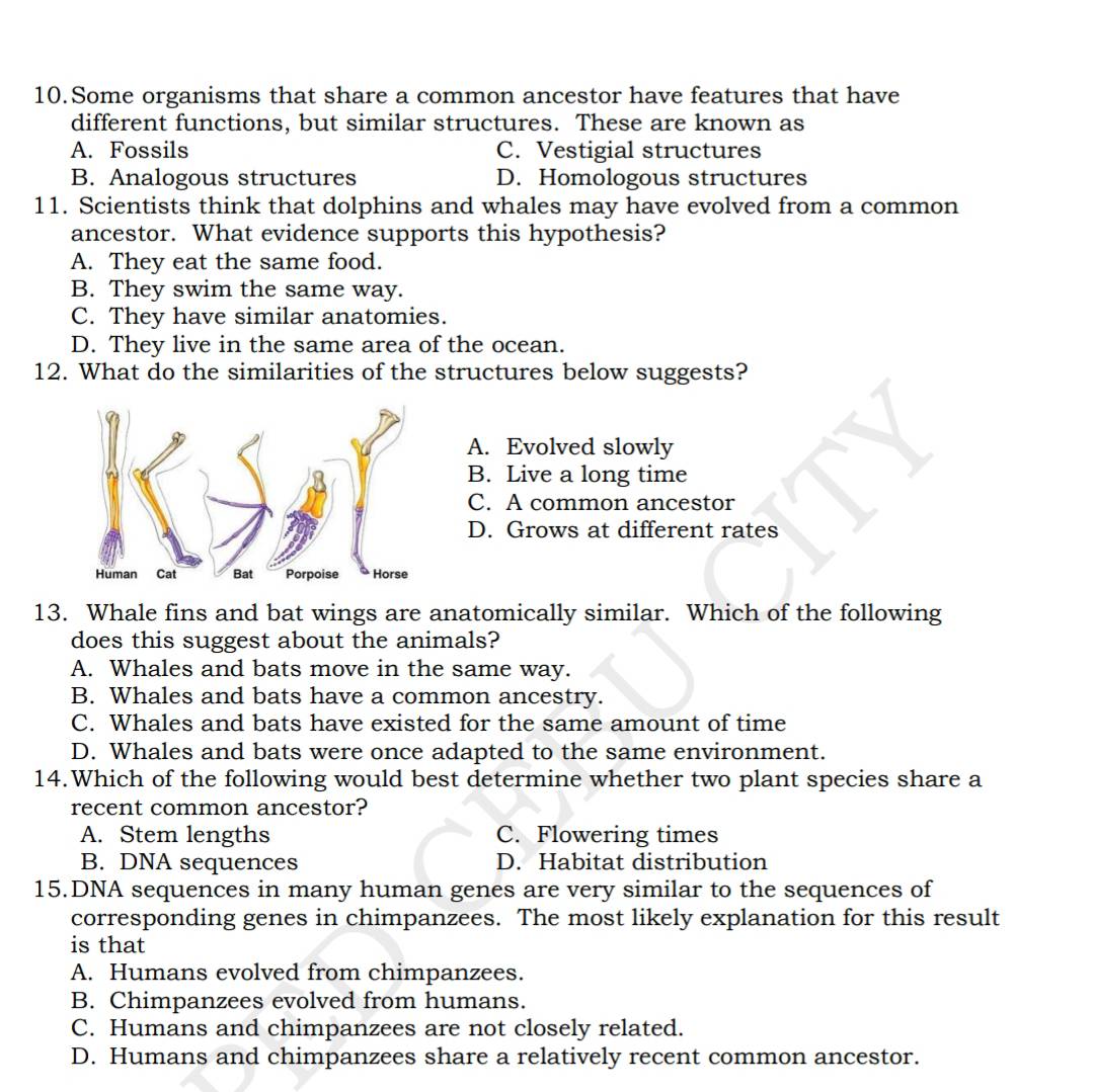 Some organisms that share a common ancestor have features that have
different functions, but similar structures. These are known as
A. Fossils C. Vestigial structures
B. Analogous structures D. Homologous structures
11. Scientists think that dolphins and whales may have evolved from a common
ancestor. What evidence supports this hypothesis?
A. They eat the same food.
B. They swim the same way.
C. They have similar anatomies.
D. They live in the same area of the ocean.
12. What do the similarities of the structures below suggests?
A. Evolved slowly
B. Live a long time
C. A common ancestor
D. Grows at different rates
13. Whale fins and bat wings are anatomically similar. Which of the following
does this suggest about the animals?
A. Whales and bats move in the same way.
B. Whales and bats have a common ancestry.
C. Whales and bats have existed for the same amount of time
D. Whales and bats were once adapted to the same environment.
14.Which of the following would best determine whether two plant species share a
recent common ancestor?
A. Stem lengths C. Flowering times
B. DNA sequences D. Habitat distribution
15.DNA sequences in many human genes are very similar to the sequences of
corresponding genes in chimpanzees. The most likely explanation for this result
is that
A. Humans evolved from chimpanzees.
B. Chimpanzees evolved from humans.
C. Humans and chimpanzees are not closely related.
D. Humans and chimpanzees share a relatively recent common ancestor.