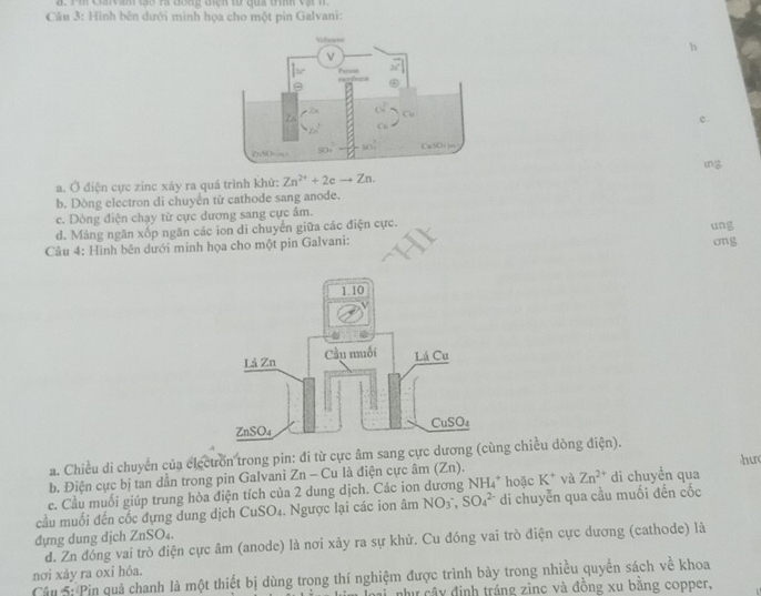 a . Pi Caivam có ra đong đich từ đủa trìh vật  n
Câu 3: Hình bên dưới minh họa cho một pin Galvani:
c.
mg
a. Ở điện cực zinc xây ra quá trình khử: Zn^(2+)+2eto Zn.
b. Dòng electron di chuyển từ cathode sang anode.
c. Dòng điện chạy từ cực dương sang cực âm.
d. Màng ngăn xốp ngăn các ion di chuyển giữa các điện cực.
Câu 4: Hình bên dưới minh họa cho một pin Galvani: ung ong
a. Chiều di chuyển của electron trong pin: đi từ cực âm sang cựcng chiều dòng điện).
hur
b. Điện cực bị tan dẫn trong pin Galvani Zn-Cu là điện cực âm (Zn). hoặc K^+ và Zn^(2+) di chuyền qua
e. Cầu muối giúp trung hòa điện tích của 2 dung dịch. Các ion dương 1 NH_4^+
cầu muối đến cốc đựng dung dịch CuSO₄. Ngược lại các ion âm NO SO_4^(2-) di chuyễn qua cầu muối đến cốc
đựng dung dịch ZnSO₄.
d. Zn đóng vai trò điện cực âm (anode) là nơi xảy ra sự khử. Cu đóng vai trò điện cực dương (cathode) là
nơi xáy ra oxi hóa.
Câu 5: Pin quả chanh là một thiết bị dùng trong thí nghiệm được trình bày trong nhiều quyền sách về khoa
a như cây định tráng zinc và đồng xu bằng copper,