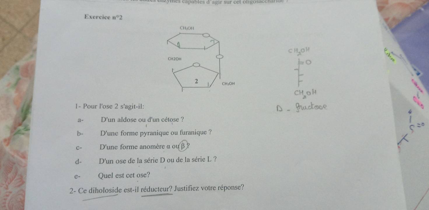 azymes capables d agir sur cet oligosaccharide .
Exercice n°2
CH₂OH
CH, OH
CH2OH
2 1 CH₂OH
1- Pour l'ose 2 s'agit-il:
a- D'un aldose ou d'un cétose ?
b- D'une forme pyranique ou furanique ?
C- D'une forme anomère α ou β ?
d- D'un ose de la série D ou de la série L ?
C- Quel est cet ose?
2- Ce diholoside est-il réducteur? Justifiez votre réponse?