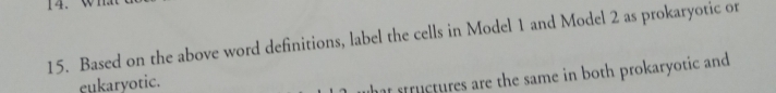 Based on the above word definitions, label the cells in Model 1 and Model 2 as prokaryotic or 
eukaryotic. 
r structures are the same in both prokaryotic and