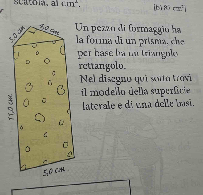 scatóla, al cm^2. 
[b) 87cm^2]
Un pezzo di formaggio ha 
la forma di un prisma, che 
per base ha un triangolo 
rettangolo. 
Nel disegno qui sotto trovi 
il modello della superficie 
laterale e di una delle basi.