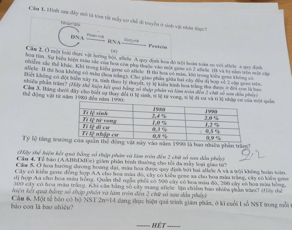 Hình sau đây mô tả tóm tắt mấy cơ chế di truyền ở sinh vật nhân thực?
Nhân đội
DNA Phiên mã
RNA Dịch ma
Protein
(a)
Câu 2. Ở một loài thực vật lưỡng bội, allele A quy định hoa đỏ trội hoàn toàn so với allele a quy định
hoa tím. Sự biểu hiện màu sắc của hoa còn phụ thuộc vào một gene có 2 allele (B và b) năm trên một cặp
nhiễm sắc thể khác. Khi trong kiều gene có allele B thì hoa có màu, khi trong kiểu gene không có
allele B thì hoa không có màu (hoa trắng). Cho giao phần giữa hai cây đều dị hợp về 2 cặp gene trên.
Biết không có đột biển xảy ra, tính theo lý thuyết, tỷ lệ kiểu hình hoa trắng thu được ở đời con là bao
pnhiêu phần trăm? (Hãy thể hiện kết quả bằng số thập phân và làm tròn đến 2 chữ số sau dấu phẩy)
Câu 3. Bảng dưới đây cho biết sự thay đổi tỉ lệ sinh, tỉ lệ tử vong, tỉ lệ di cư và tỉ lệ nmột quản
thể động vật từ năm 1980 đến năm 1
Tỷ lệ tăng trưởvào năm 1990 là bao nhiêu phần trăm?
(Hãy thể hiện kết quả bằng số thập phân và làm tròn đến 2 chữ số sau dấu phầy)
Câu 4. Tế bào (AABbDdEe) giảm phân bình thường cho tối đa mấy loại giao tử?
Câu 5. Ở hoa hướng dương hoang dại, màu hoa được quy định bởi hai allele A và a trội không hoàn toàn.
Cây có kiểu gene đồng hợp AA cho hoa màu đỏ, cây có kiểu gene aa cho hoa màu trắng, cây có kiểu gene
dị hợp Aa cho hoa màu hồng. Quần thể ngẫu phối có 500 cây có hoa màu đỏ, 200 cây có hoa màu hồng,
300 cây có hoa màu trắng. Khi cân bằng số cây mang allele lặn chiếm bao nhiêu phần trăm? (Hãy thể
hiện kết quả bằng số thập phân và làm tròn đến 2 chữ số sau dầu phây)
Câu 6. Một tế bào có bộ NST 2n=14 đang thực hiện quá trình giảm phân, ở kì cuối I số NST trong mỗi t
bào con là bao nhiêu?
_Hết _------