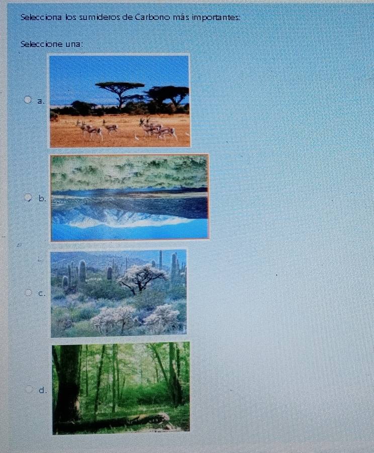 Selecciona los sumideros de Carbono más importantes:
Seleccione una:
a.
C.
d.