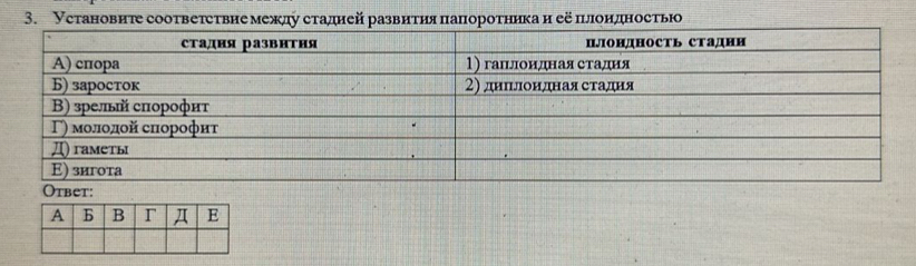 Установиτе сооτвеτеτвие межлу стадней развиτηя папоротника и её πондносτью