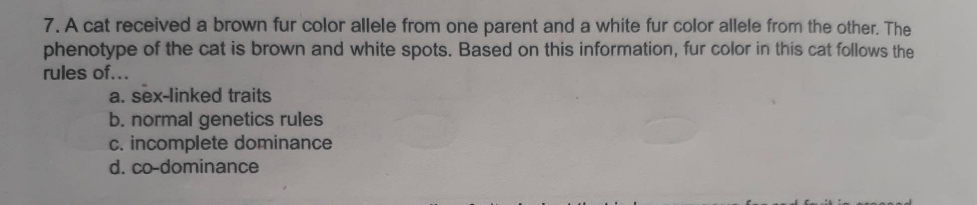 A cat received a brown fur color allele from one parent and a white fur color allele from the other. The
phenotype of the cat is brown and white spots. Based on this information, fur color in this cat follows the
rules of...
a. sex-linked traits
b. normal genetics rules
c. incomplete dominance
d. co-dominance