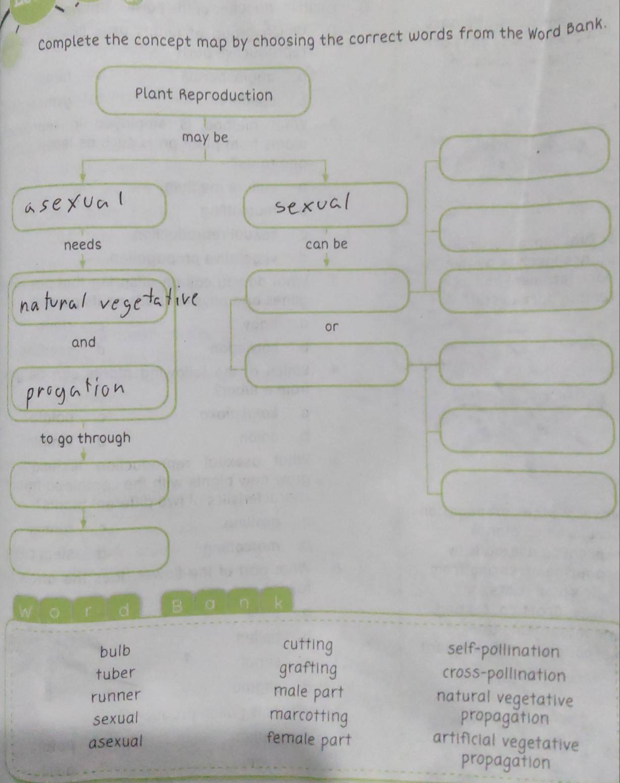 Complete the concept map by choosing the correct words from the Word Bank.
Plant Reproduction
may be
asexua l
sexual
needs can be
natural vegetative
or
and
progation
to go through
W r d B a η k
cutting
bulb self-pollination
grafting
tuber cross-pollination
male part
runner natural vegetative
sexual marcotting propagation
asexual female part artificial vegetative
propagation