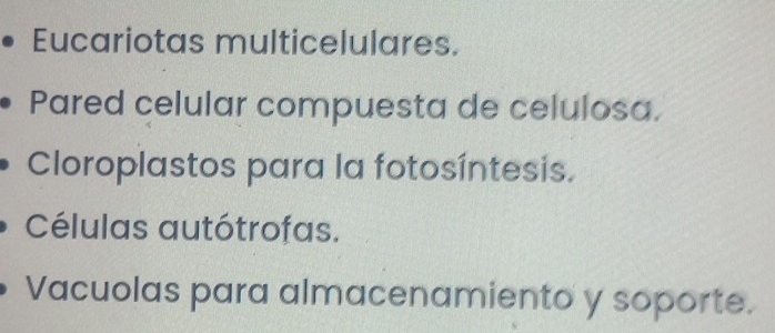 Eucariotas multicelulares. 
Pared celular compuesta de celulosa. 
Cloroplastos para la fotosíntesis. 
Células autótrofas. 
Vacuolas para almacenamiento y soporte.