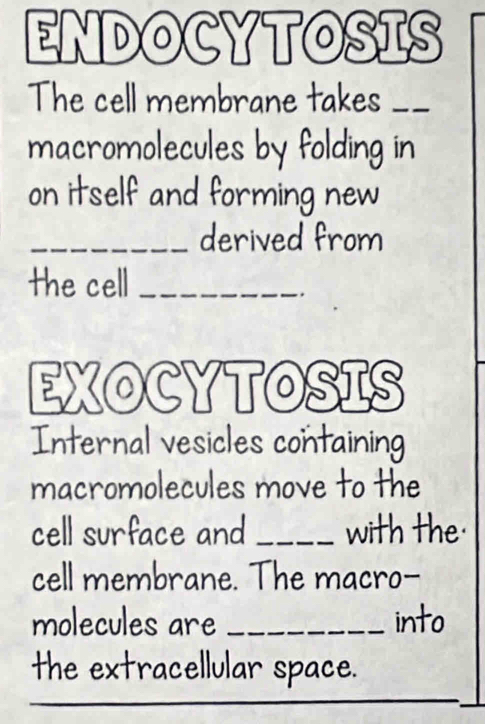 ENDOCYTOSIS 
The cell membrane takes_ 
macromolecules by folding in 
on itself and forming new 
_derived from 
the cell_ 
. 
EXOCYTOSIS 
Internal vesicles containing 
macromolecules move to the 
cell surface and _with the 
cell membrane. The macro- 
molecules are _into 
the extracellular space. 
_ 
__ 
_ 
_