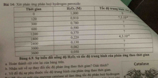 xide:
Bảng 6.9. Sự biển đổi nông độ H_2O_2 và
a. Hoàn thành cột còn lại của bảng trên.
b. Nhận xét về sự thay đổi tốc độ phản ứng theo thời gian? Giải thích? Catalase
c. Về đỗ thị sự phụ thuộc tốc độ trung bình của phân ứng theo thời gian.
mặt của cnryme catalase sẽ làm tăng tốc độ phần huý hydrogen