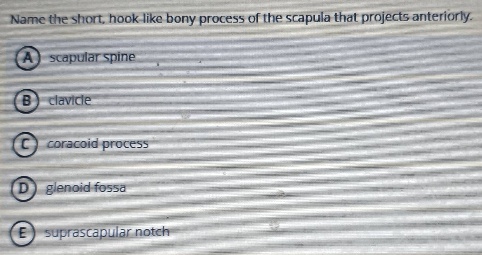 Solved: Name the short, hook-like bony process of the scapula that ...