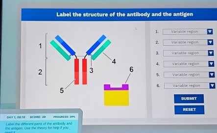 Solved: Label the structure of the antibody and the antigen 1. Variable ...