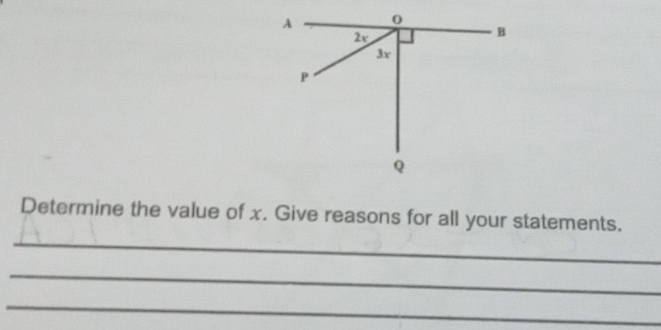 Determine the value of x. Give reasons for all your statements. 
_ 
_