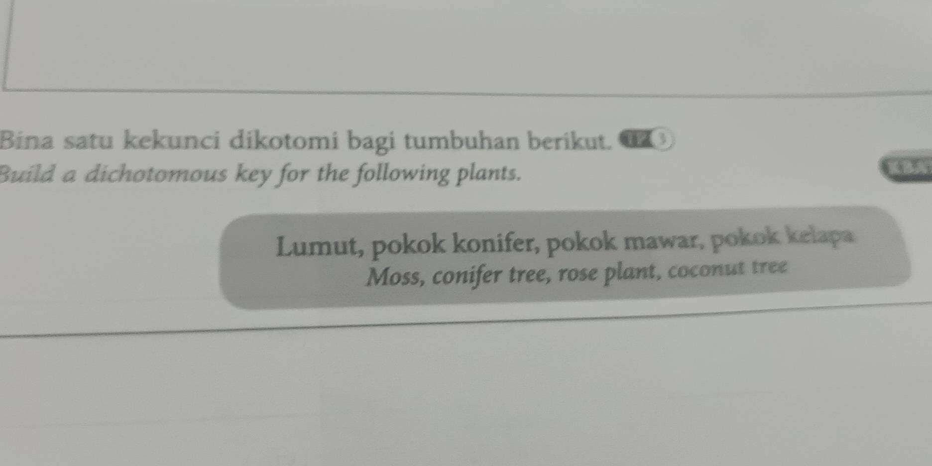 Bina satu kekunci dikotomi bagi tumbuhan berikut. €
Build a dichotomous key for the following plants.
Lumut, pokok konifer, pokok mawar, pokok kelapa
Moss, conifer tree, rose plant, coconut tree