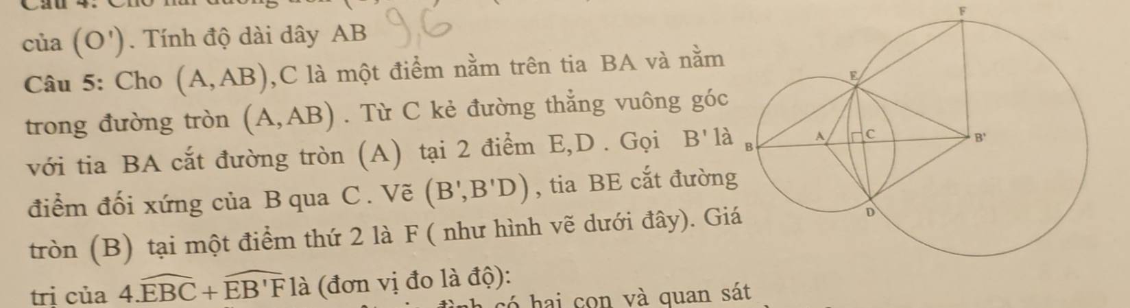 cia(O'). Tính độ dài dây AB
Câu 5: Cho (A,AB) ,C là một điểm nằm trên tia BA và nằm
trong đường tròn (A,AB). Từ C kẻ đường thẳng vuông góc
với tia BA cắt đường tròn (A) tại 2 điểm E,D . Gọi B'ldot a
điểm đối xứng của B qua C . Vẽ (B',B'D) , tia BE cắt đườn
tròn (B) tại một điểm thứ 2 là F ( như hình vẽ dưới đây). Gi
tri của 4.widehat EBC+widehat EB'Fla (đơn vị đo là độ):
hai con và quan sát