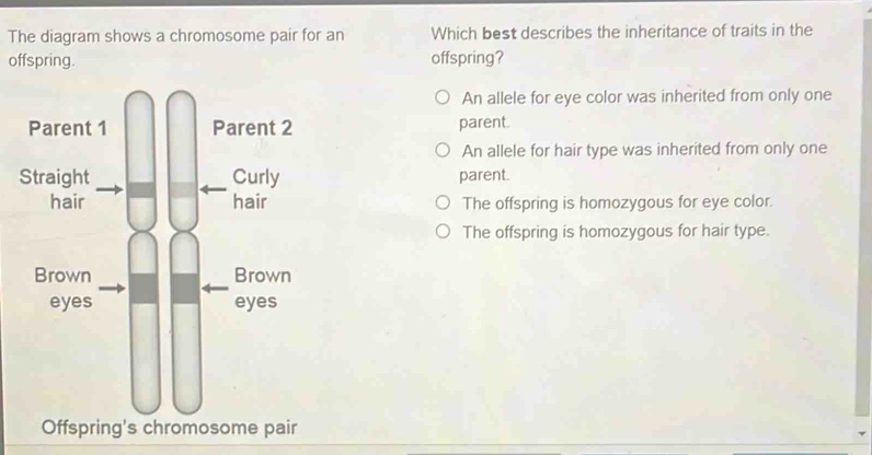 Solved: The diagram shows a chromosome pair for an Which best describes ...