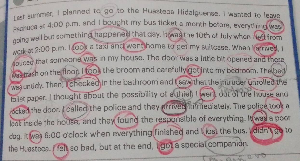 Last summer, I planned to go to the Huasteca Hidalguense. I wanted to leave 
Pachuca at 4:00 p.m. and I bought my bus ticket a month before, everything was 
going well but something happened that day. It was the 10th of July when I left from 
work at 2:00 p.m. I took a taxi and went home to get my suitcase. When I arrived, I 
noticed that someone was in my house. The door was a little bit opened and there 
was trash on the floor. I took the broom and carefully got into my bedroom. The bed 
was untidy. Then, I checked in the bathroom and I saw that the intruder unrolled the 
toilet paper. I thought about the possibility of a thief. I went out of the house and 
locked the door. I called the police and they arrived immediately. The police took a 
look inside the house, and they found the responsible of everything. It was a poor 
dog. It was 6:00 o'clock when everything finished and I lost the bus. I didn't go to 
the Huasteca. I felt so bad, but at the end, I got a special companion.