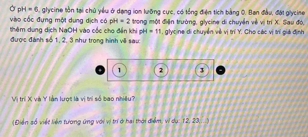 Ở pH=6 , glycine tồn tại chủ yếu ở dạng ion lưỡng cực, có tổng điện tích bằng 0. Ban đầu, đặt glycine 
vào cốc đựng một dung dịch có pH=2 trong một điện trường, glycine di chuyền về vị trí X. Sau đó, 
thêm dung dịch NaOH vào cốc cho đến khi pH =11 , glycine di chuyền về vị trí Y. Cho các vị trí giả định 
được đánh số 1, 2, 3 như trong hình vẽ sau: 
+ 1 2 3
Vị trí X và Y lần lượt là vị trí số bao nhiêu? 
(Điền số viết liền tương ứng với vị trí ở hai thời điểm, ví dụ: 12, 23,...)