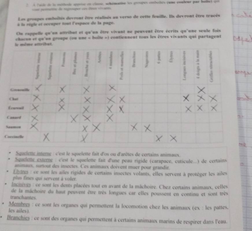 2 À lasle de la méthode apprise en classe, schématise les groupes emboités (une couleur par boîte) qui 
von permetine de regrouper cns êres visants 
Les groupes emboîtés devront être réalisés au verso de cette feuille. Ils devront être tracés 
à la régle et occuper tout l'espace de la page. 
On sappelle qu'un attribut et qu'un être vivant ne peuvent être écrits qu'une seule fois 
chacun et qu'un groupe (ou une « boîte ») contiennent tous les êtres vivants qui partagent 
le même attridut. 
z 
7 7 
; 
Grenonille 
Chat 
Ecurenit 
Canard 
Saemun 
Coccinelle 
Squelette interne : c'est le squelette fait d'os ou d'arêtes de certains animaux. 
Squeiete externe : c'est le squelette fait d'une peau rigide (carapace, cuticule...) de certains 
animaux, surtout des insectes. Ces animaux doivent muer pour grandir. 
Llytres : ce sont les ailes rigides de certains insectes volants, elles servent à protéger les ailes 
plus fines qui servent à voler. 
Incisives : ce sont les dents placées tout en avant de la mâchoire. Chez certains animaux, celles 
de la mâchoire du haut peuvent être très longues car elles poussent en continu et sont très 
tranchantes. 
Membres : ce sont les organes qui permettent la locomotion chez les animaux (ex : les pattes, 
les ailes). 
Branchics : ce sont des organes qui permettent à certains animaux marins de respirer dans l'eau.