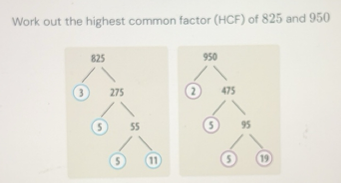 Solved: Work out the highest common factor (HCF) of 825 and 950 [Math]