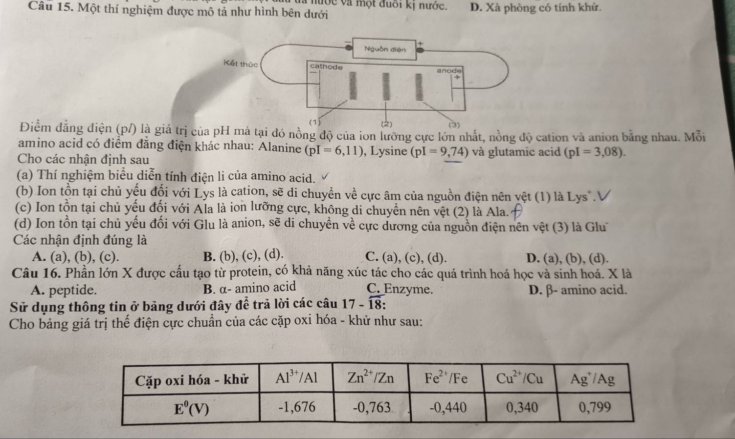 Vlà nước và một đuối kị nước.
Câu 15. Một thí nghiệm được mô tả như hình bên dưới D. Xà phòng có tính khứ.
Điểm đẳng điện (p/) là giá trị củà tại đó nồng độ của ion lưỡng cực lớn nhất, nồng độ cation và anion bằng nhau. Mỗi
amino acid có điểm đăng điện khác nhau: Alanine (pI=6,11)
Cho các nhận định sau , Lysine (pI=9,74) và glutamic acid (pI=3,08).
(a) Thí nghiệm biểu diễn tính điện li của amino acid.
(b) Ion tồn tại chủ yếu đối với Lys là cation, sẽ di chuyển về cực âm của nguồn điện nên vệt (1) là Lys^+. V
(c) Ion tồn tại chủ yếu đối với Ala là ion lưỡng cực, không di chuyền nên vệt (2) là Ala.
(d) Ion tồn tại chủ yếu đối với Glu là anion, sẽ di chuyển về cực dương của nguồn điện nên vệt (3) là Glu
Các nhận định đúng là
A. (a), (b), (c). B. (b), (c), (d). C. (a), (c), (d). D. (a), (b), (d).
Câu 16. Phần lớn X được cấu tạo từ protein, có khả năng xúc tác cho các quá trình hoá học và sinh hoá. X là
A. peptide. B. α- amino acid C. Enzyme. D. β- amino acid.
Sử dụng thông tin ở bảng dưới đây để trả lời các câu 17-overline 18:
Cho bảng giá trị thế điện cực chuẩn của các cặp oxi hóa - khử như sau: