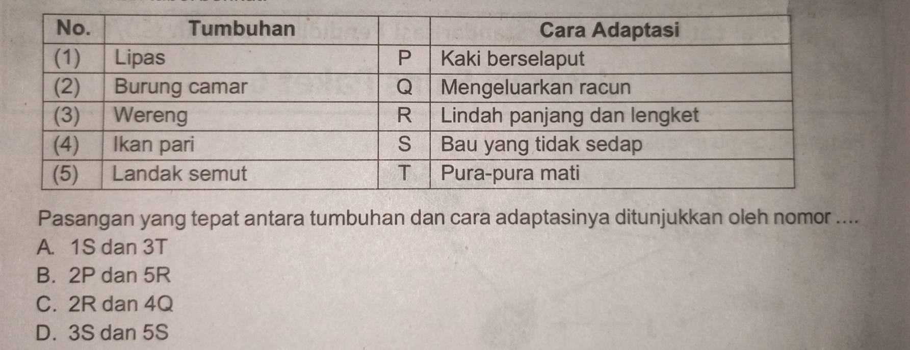 Pasangan yang tepat antara tumbuhan dan cara adaptasinya ditunjukkan oleh nomor ....
A. 1S dan 3T
B. 2P dan 5R
C. 2R dan 4Q
D. 3S dan 5S