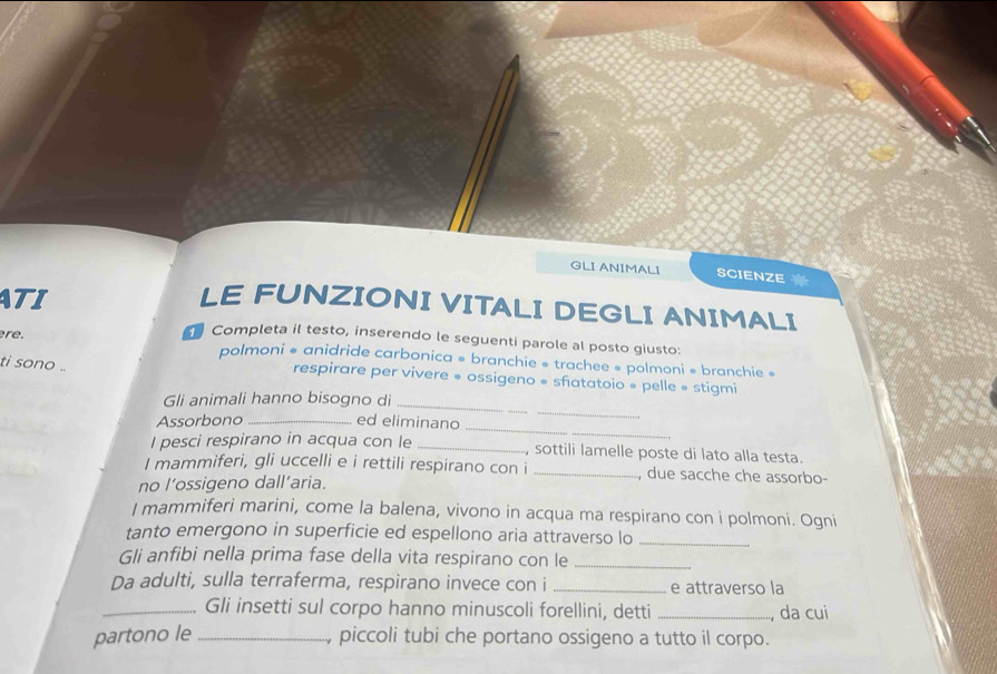 GLI ANIMALI SCIENZE 
ATI 
LE FUNZIONI VITALI DEGLI ANIMALI 
re. 
Completa il testo, inserendo le seguenti parole al posto giusto: 
polmoni » anidride carbonica » branchie » trachee » polmoni » branchie » 
ti sono .. respirare per vivere « ossigeno « sfatatoio « pelle » stigmi 
Gli animali hanno bisogno di_ 
_ 
Assorbono _ed eliminano 
_ 
I pesci respirano in acqua con le _.., sottili lamelle poste di lato alla testa. 
I mammiferi, gli uccelli e i rettili respirano con i _, due sacche che assorbo- 
no l’ossigeno dall’aria. 
I mammiferi marini, come la balena, vivono in acqua ma respirano con i polmoni. Ogni 
tanto emergono in superficie ed espellono aria attraverso lo_ 
Gli anfibi nella prima fase della vita respirano con le_ 
Da adulti, sulla terraferma, respirano invece con i _e attraverso la 
_Gli insetti sul corpo hanno minuscoli forellini, detti _, da cui 
partono le _, piccoli tubi che portano ossigeno a tutto il corpo.