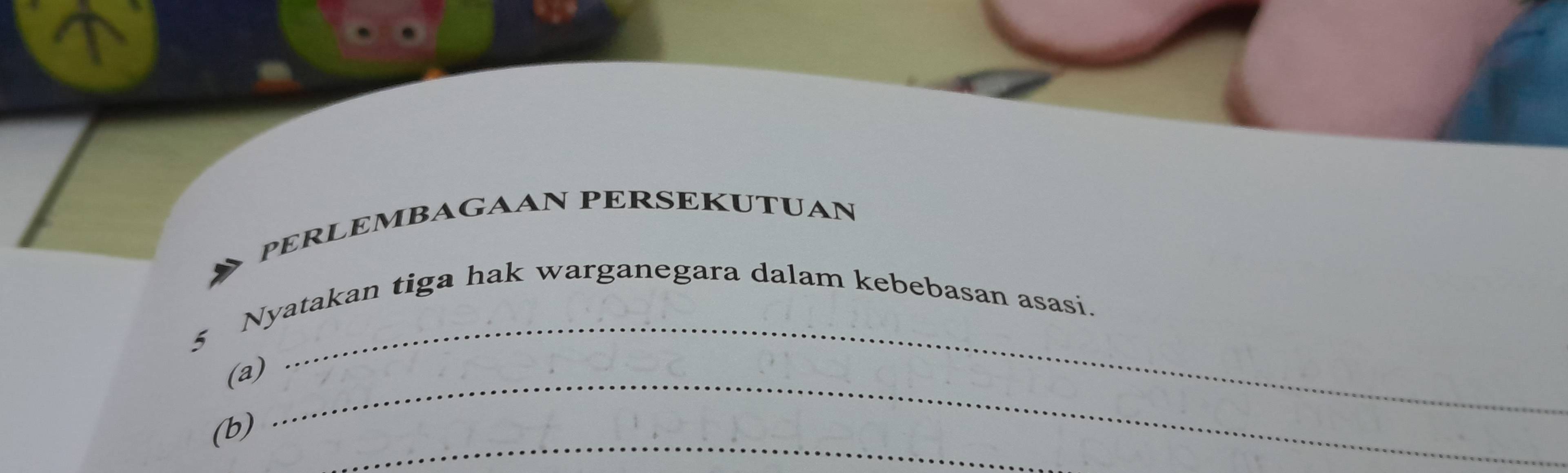 PERLEMBAGAAN PERSEKUTUAN 
5 Nyatakan tiga hak warganegara dalam kebebasan asasi. 
_ 
(a) 
_ 
_ 
(b)