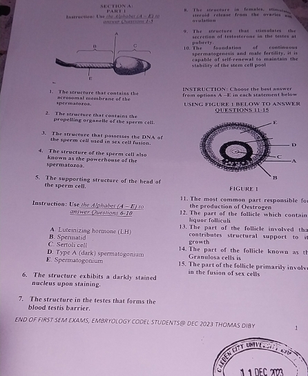 SECHONA PANTI B. The structure im females, stimuins
Instruction: Use the Ahuber (A - () 1 antwer Questions 1-5 ovulation steroid relcase from the ovaries s=
9 The structure that stim ulates the
puberty. secretion of testosterome in the testes at
10. The foundation of continuous
spermatogenesis and male fertility, it is
stability of the stem cell pool capable of self-renewal to maintain the
INSTRUCTION: Choose the best answer
1. The structure that contains the from options A --E in each statement below
spermatozoa. acrosomal membrane of the USING FIGURE 1 BELOW TO ANSWER
QUESTIONS 11-1 
2. The structure that contains the
propelling organetle of the sperm cell.
3. The structure that possesses the DNA of
the sperm cell used in sex cell fusion.
4. The structure of the sperm cell also
known as the powerhouse of the
spermatozoa. 
5. The supporting structure of the head of
the sperm cell. FIGURE I
11. The most common part responsible fo
Instruction: Use the Alphabet A-E 1 1o the production of Oestrogen
answer Questions 6-10 12. The part of the follicle which contain
liquor folliculi
A. Luteinizing hormone (LH) 13. The part of the follicle involved thz
B. Spermatid growth contributes structural support to i
C. Sertoli cell 14. The part of the follicle known as th
D. Type A (dark) spermatogonium Granulosa cells is
E. Spermatogonium 15. The part of the follicle primarily involv
in the fusion of sex cells
6. The structure exhibits a darkly stained
nucleus upon staining.
7. The structure in the testes that forms the
blood testis barrier.
END OF FIRST SEM EXAMS, EMBRYOLOGY CODEL STUDENTS@ DEC 2023 THOMAS DIBY 1
1 E 223